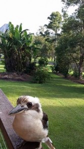 11831806_1470918489895762_2614316528465097160_n